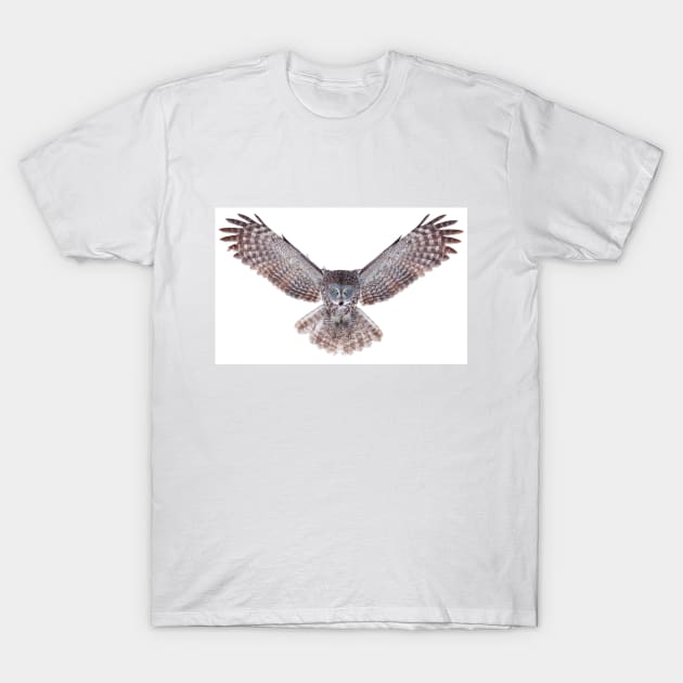 Power - Great Grey Owl T-Shirt by Jim Cumming